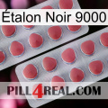 Étalon Noir 9000 19